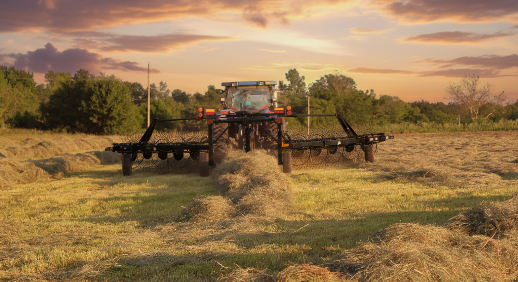 How Long Should I Wait Before Raking Hay? | Agzaga Blog