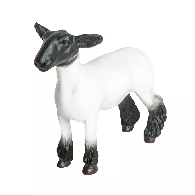 Little Buster Toys Champion Crossbred Market Lamb | Agzaga