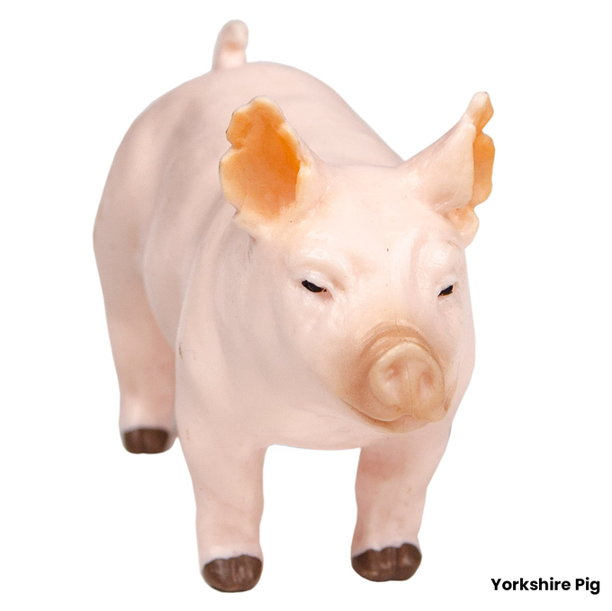 Pig ☆ $_12.JPG?set_id=880000500F