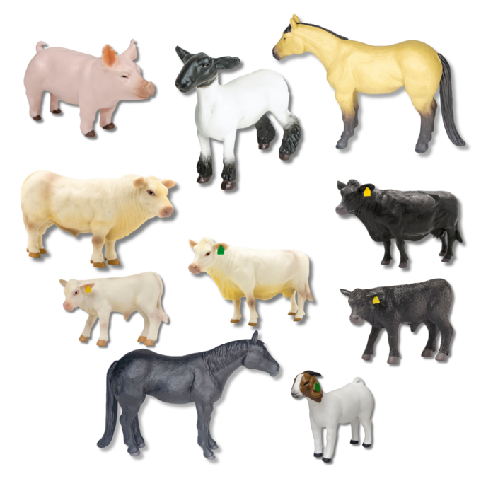 Little Busters! アナログコレクターズエディション Little Busters! アナログコレクターズエディション Amazon.com