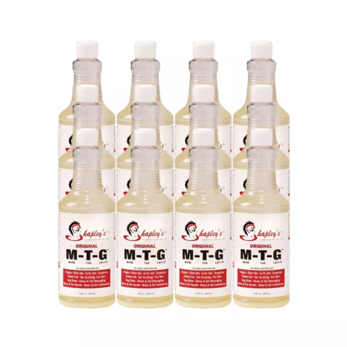 MTG 補充/Replenish Replenish | Urza's Destiny | Star City Games