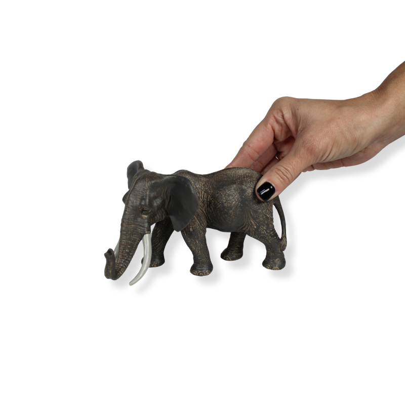 MIYAGIHIDETAKA × ELEPHANT Brand size:F M4007_01.png?1732226949