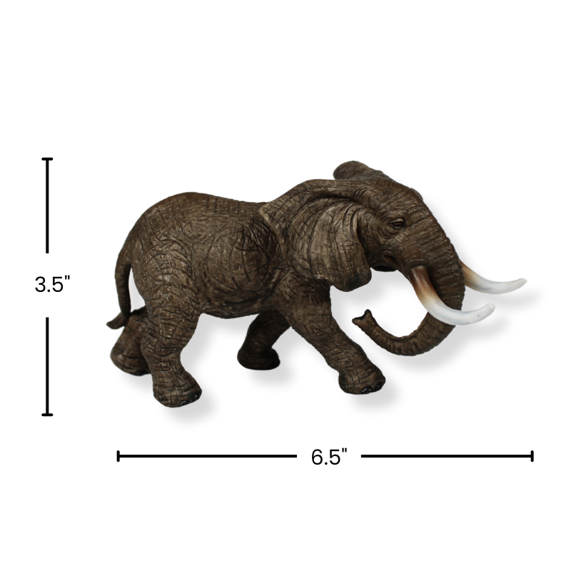 JZ-EL_with_sizes.png?1733239978