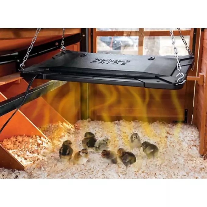 Farm Innovators 2-in-1 Chicken Coop Heater & Brooder | Safe