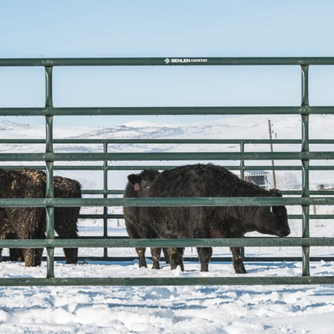Behlen Big Valley Panels 8' | 2