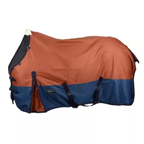 Reinsman Classic Turnout Winter Blanket | 600D Waterproof Horse Blanket with 300g Insulation