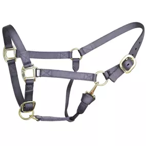 Reinsman Deluxe Nylon Adjustable Halter | 1" Durable Horse Halter with Brass Hardware & Adjustable Fit | Multiple Colors
