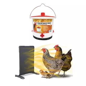 Warm Girls Bundle – Chicken Brooder & 2-Gallon Heated Poultry Drinker