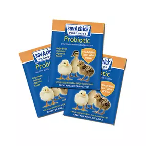 Sav-A-Chick® Probiotic Supplement – 3 x 0.17oz Packets