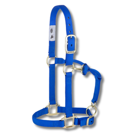 Weaver Equine Original Adjustable Nylon Horse Halter – Chin & Throat Snap, 1" Average Horse 
