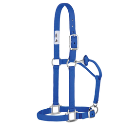 Weaver Equine Original Non-Adjustable Halter, 1" | Premium Nylon Horse Halter