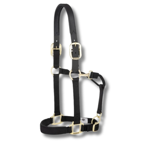 Weaver Original Breakaway Horse Halter – Adjustable Chin & Throat Snap Nylon Halter with Leather Crown
