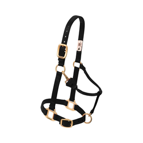 Weaver Original Adjustable Nylon Horse Halter – 3/4" Chin & Throat Snap Halter