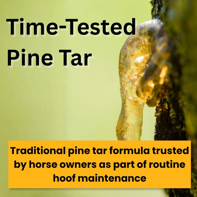 Bickmore® Pine Tar Hoof Treatment – Natural Hoof Care for Cracks, Corns & Hard Frogs (Pint) 