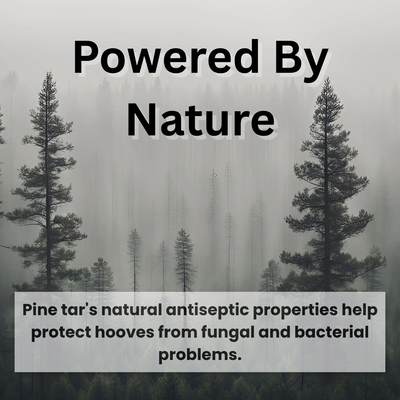 Bickmore® Pine Tar Hoof Treatment – Natural Hoof Care for Cracks, Corns & Hard Frogs (Pint) 
