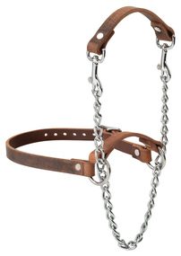 Weaver Livestock Total Control Leather Goat Halter | Adjustable Show Goat Halter