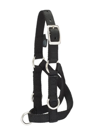 Weaver Livestock Sheep & Goat Training Halter | Multipurpose Training Halter for Lambs & Goats