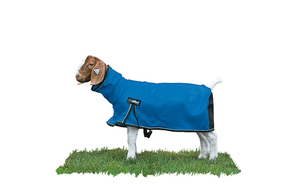 ProCool™ Goat Blanket with Reflective Piping, Mesh Butt | Breathable Goat Blanket for Cooling & Protection