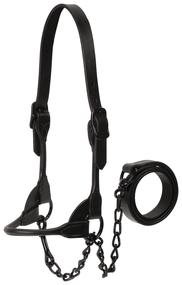Weaver Livestock Black Magic Show Halter – Premium Black Bridle Leather Cattle Show Halter with Black Hardware 