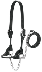 Weaver Livestock Premium Dairy & Beef Rounded Show Halter – Black Bridle Leather Show Halter with Chain & Lead 