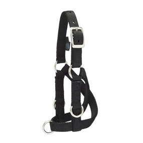 Weaver Livestock Sheep & Goat Training Halter | Multipurpose Training Halter for Lambs & Goats