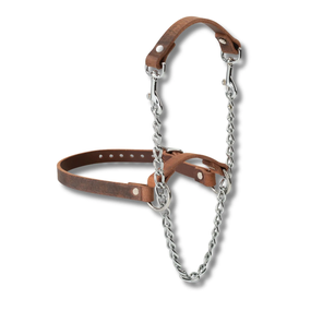 Weaver Livestock Total Control Leather Goat Halter | Adjustable Show Goat Halter