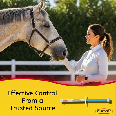 Ivermectin Paste Dewormer | Horse Dewormer for Worm & Bot Control | Single & Bulk 