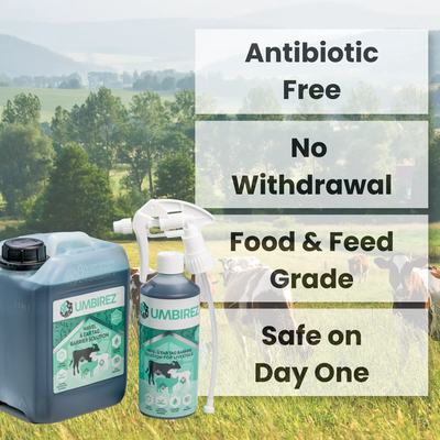 UMBIREZ™ 3L Navel Dip Starter Pack – 2.5L Jug Plus 500ml Bottle with Sprayer