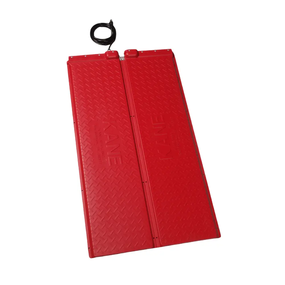 Kane Pet Heat Mat - Double 48 with Thermostat - Red